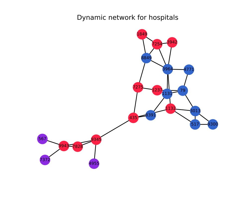 Example of a dynamic network for hospitals