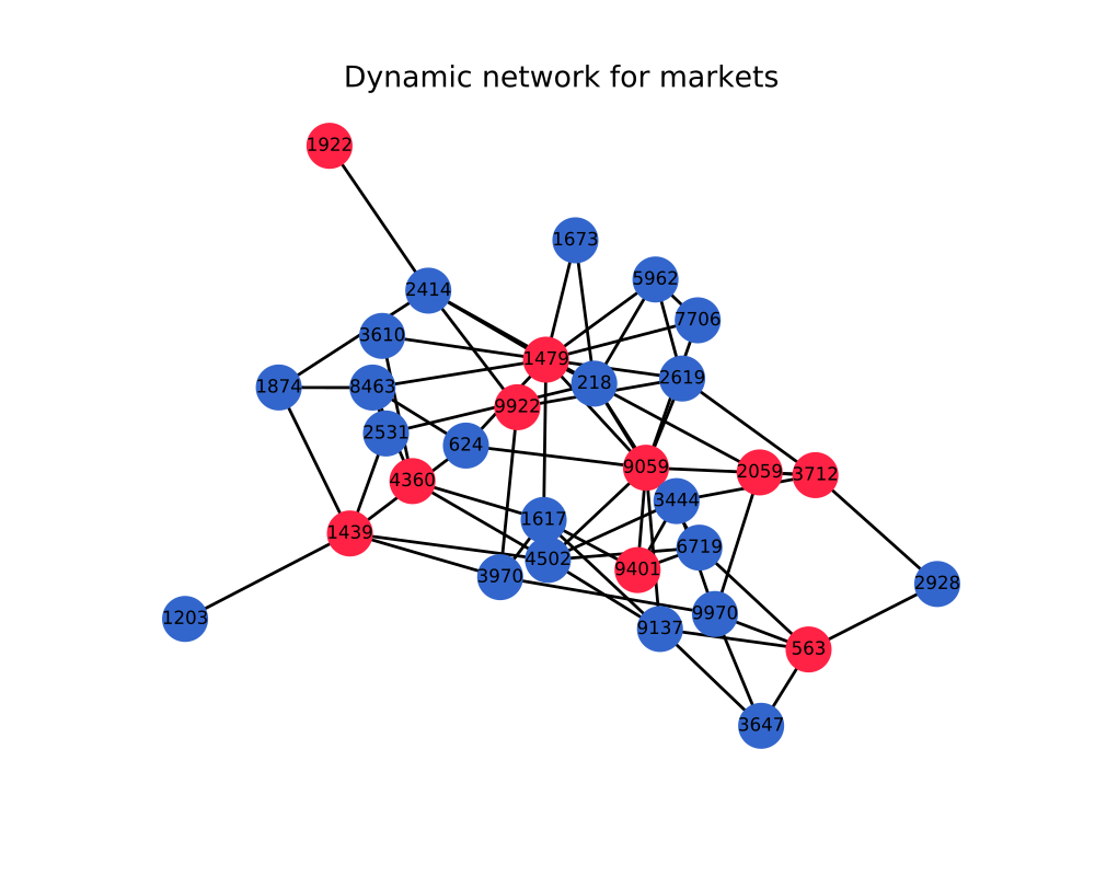 Example of a dynamic network for markets